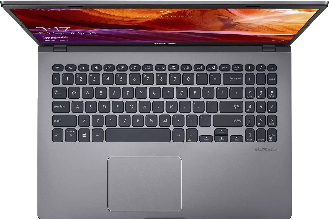 Ремонт петель крышки  Asus F509FL-BQ238T